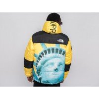 Куртка зимняя THE NORTH FACE x Supreme цвет Желтый арт. 31453