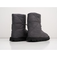 Зимние Сапоги UGG цвет Серый арт. 33018