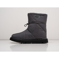 Зимние Сапоги UGG цвет Серый арт. 33018