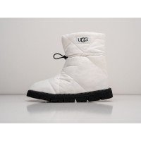 Зимние Сапоги UGG цвет Белый арт. 32916