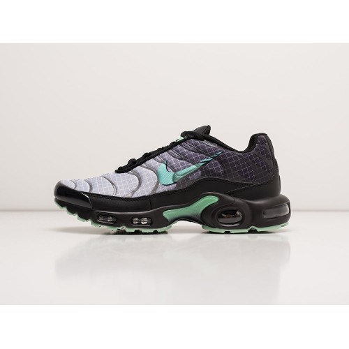 Кроссовки NIKE Air Max Plus TN цвет Разноцветный арт. 29495