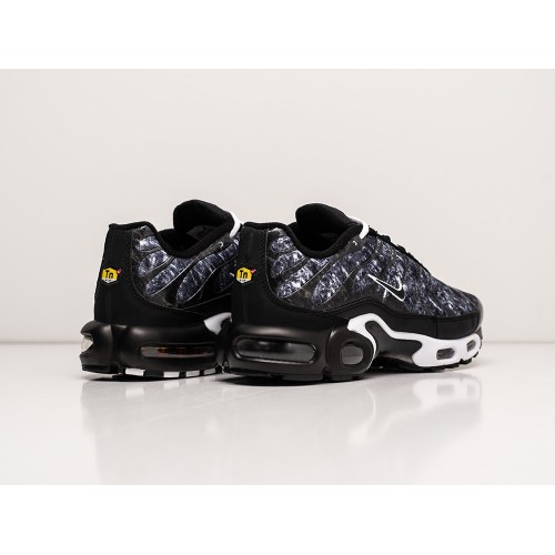 Кроссовки NIKE Air Max Plus TN цвет Разноцветный арт. 30126