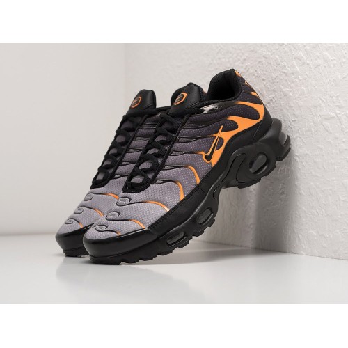 Кроссовки NIKE Air Max Plus TN цвет Разноцветный арт. 30933