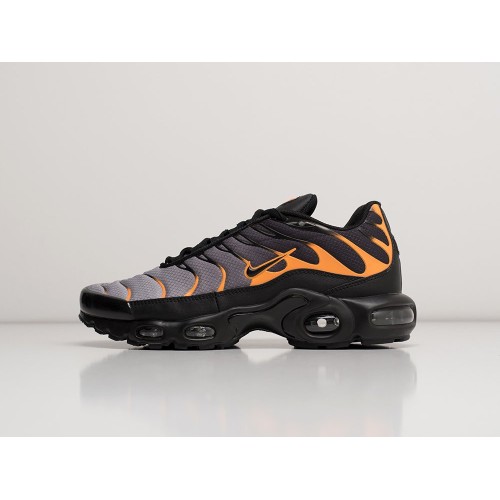 Кроссовки NIKE Air Max Plus TN цвет Разноцветный арт. 30933