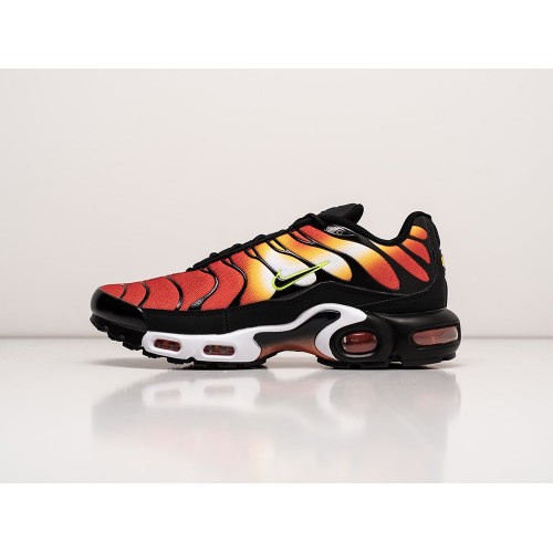 Кроссовки NIKE Air Max Plus TN цвет Разноцветный арт. 31588