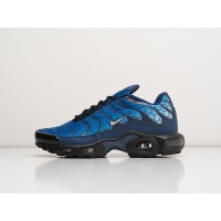 Кроссовки NIKE Air Max Plus TN цвет Синий арт. 33723