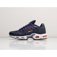 Кроссовки NIKE Air Max Plus TN цвет Разноцветный арт. 37268