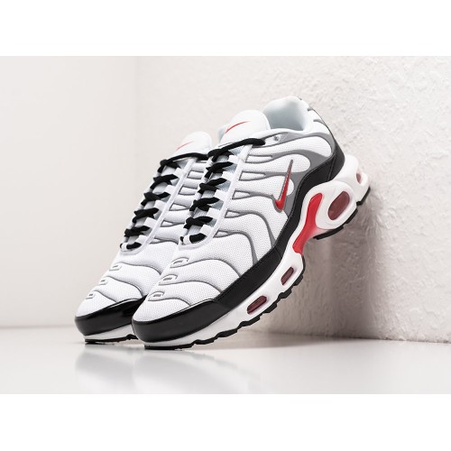 Кроссовки NIKE Air Max Plus TN цвет Белый арт. 39219