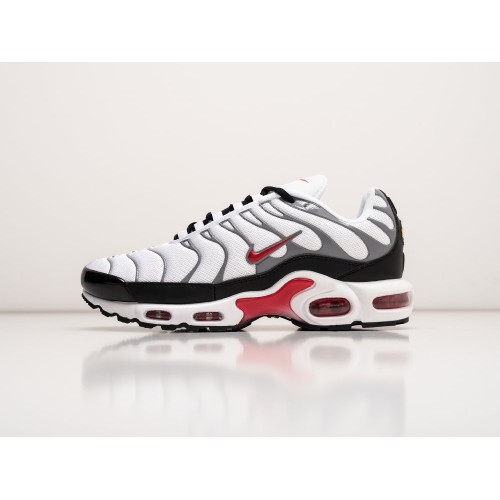 Кроссовки NIKE Air Max Plus TN цвет Белый арт. 39219