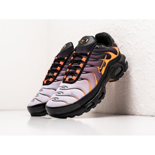 Кроссовки NIKE Air Max Plus TN цвет Разноцветный арт. 39252