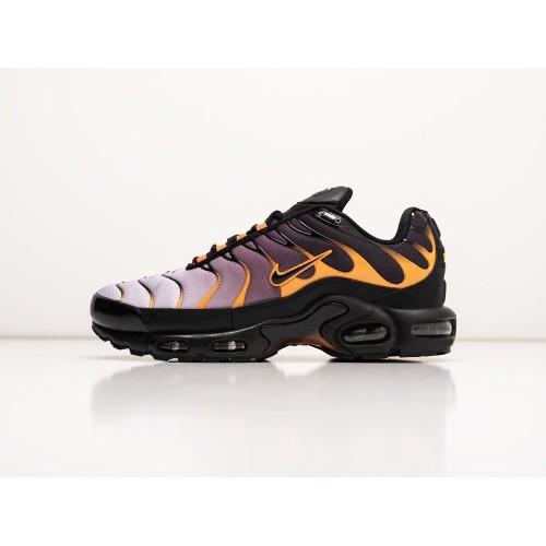 Кроссовки NIKE Air Max Plus TN цвет Разноцветный арт. 39252