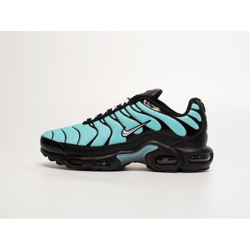 Кроссовки NIKE Air Max Plus TN цвет Голубой арт. 41925