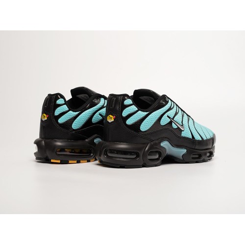 Кроссовки NIKE Air Max Plus TN цвет Голубой арт. 41925