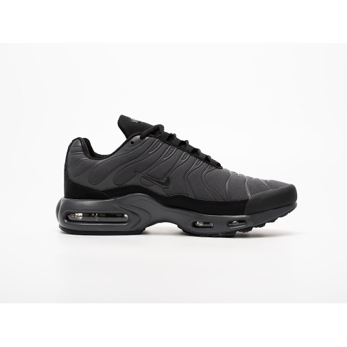 Кроссовки NIKE Air Max Plus TN цвет Серый арт. 43413