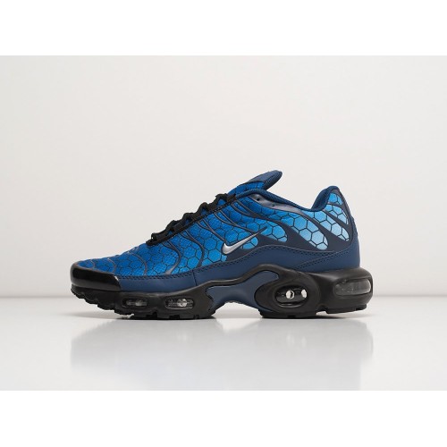 Кроссовки NIKE Air Max Plus TN цвет Синий арт. 33723