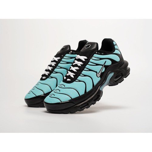 Кроссовки NIKE Air Max Plus TN цвет Голубой арт. 41925