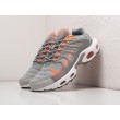 Кроссовки NIKE Air Max Terrascape Plus цвет Серый арт. 31602